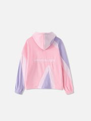 Contrast Color Panel Embroidery Hoodie