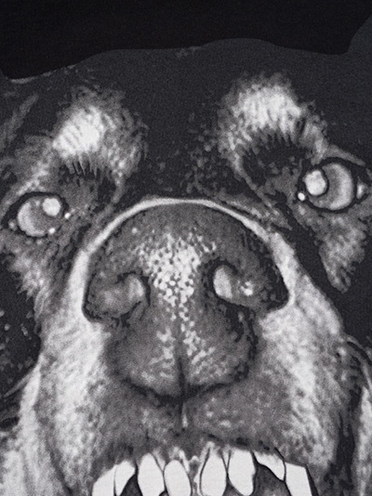 3D Printed Doberman Dog Head Hip Hop T-Shirt
