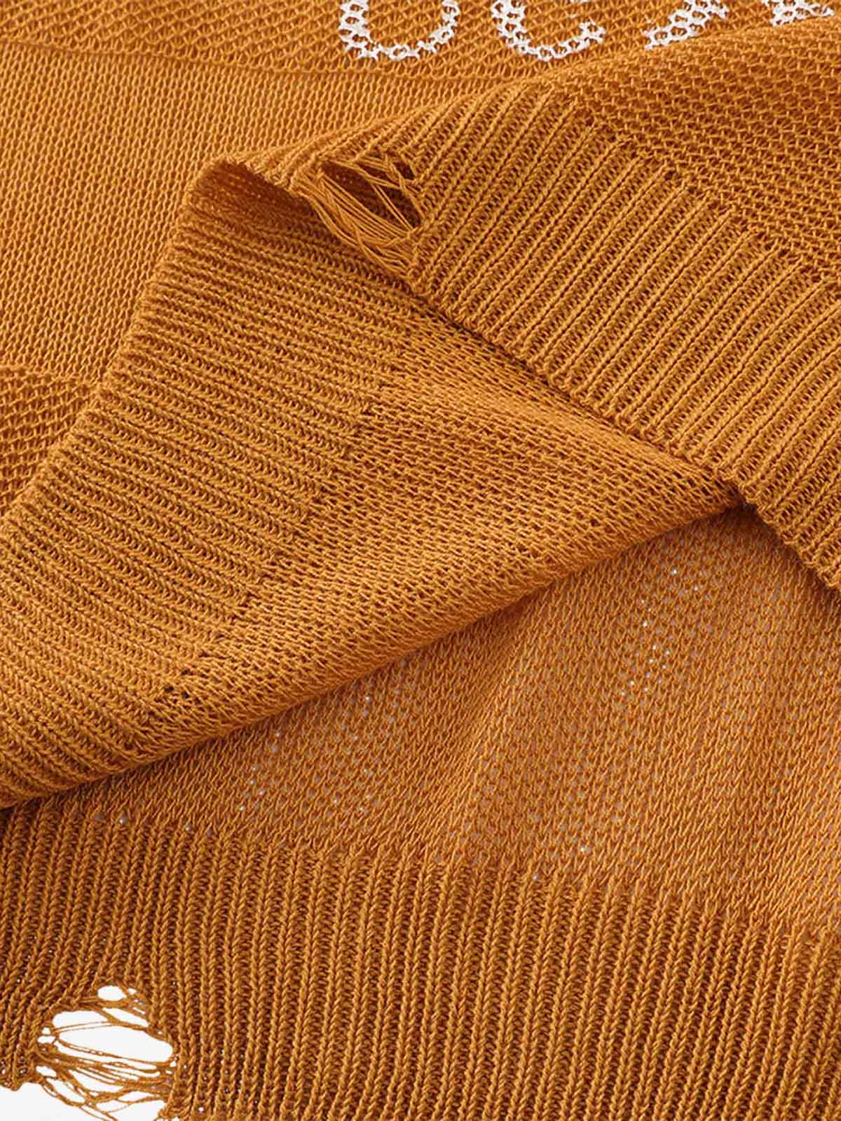 Vintage Hollow Ripped Knit Sweater