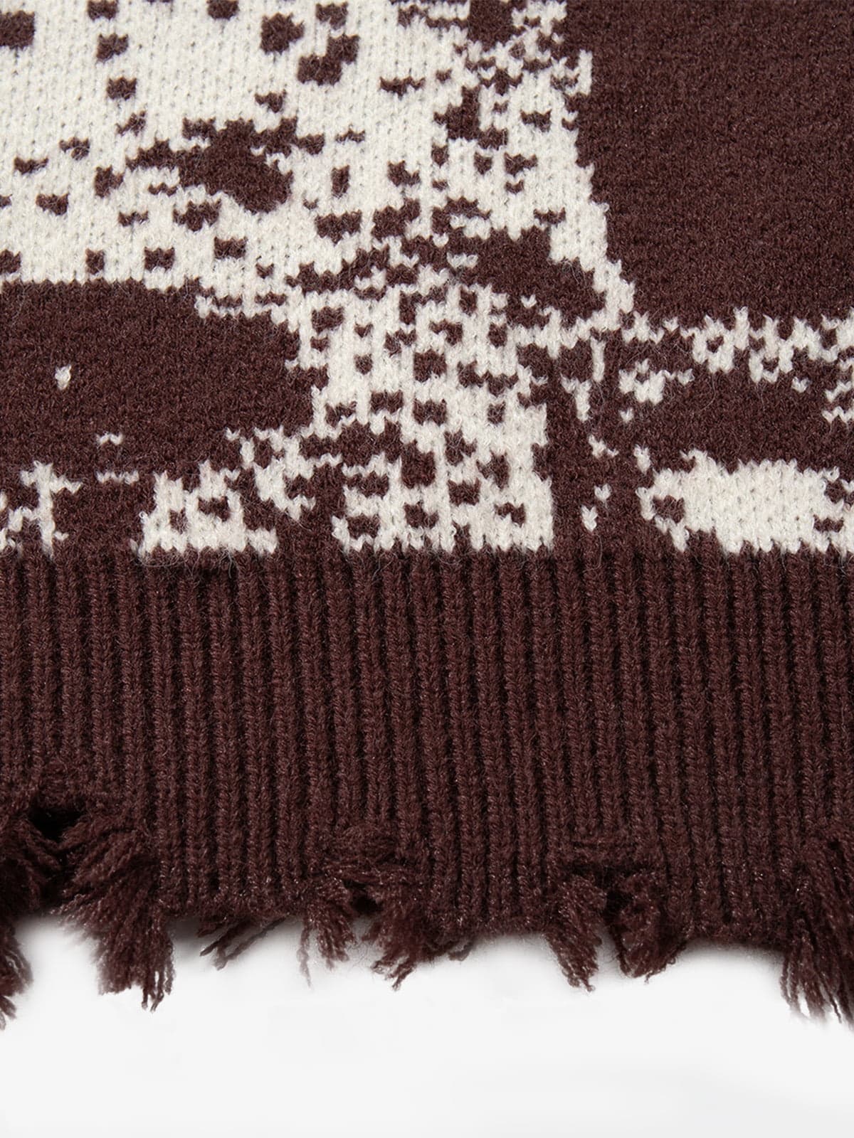 Dark Street Skull Frayed Hem Sweater