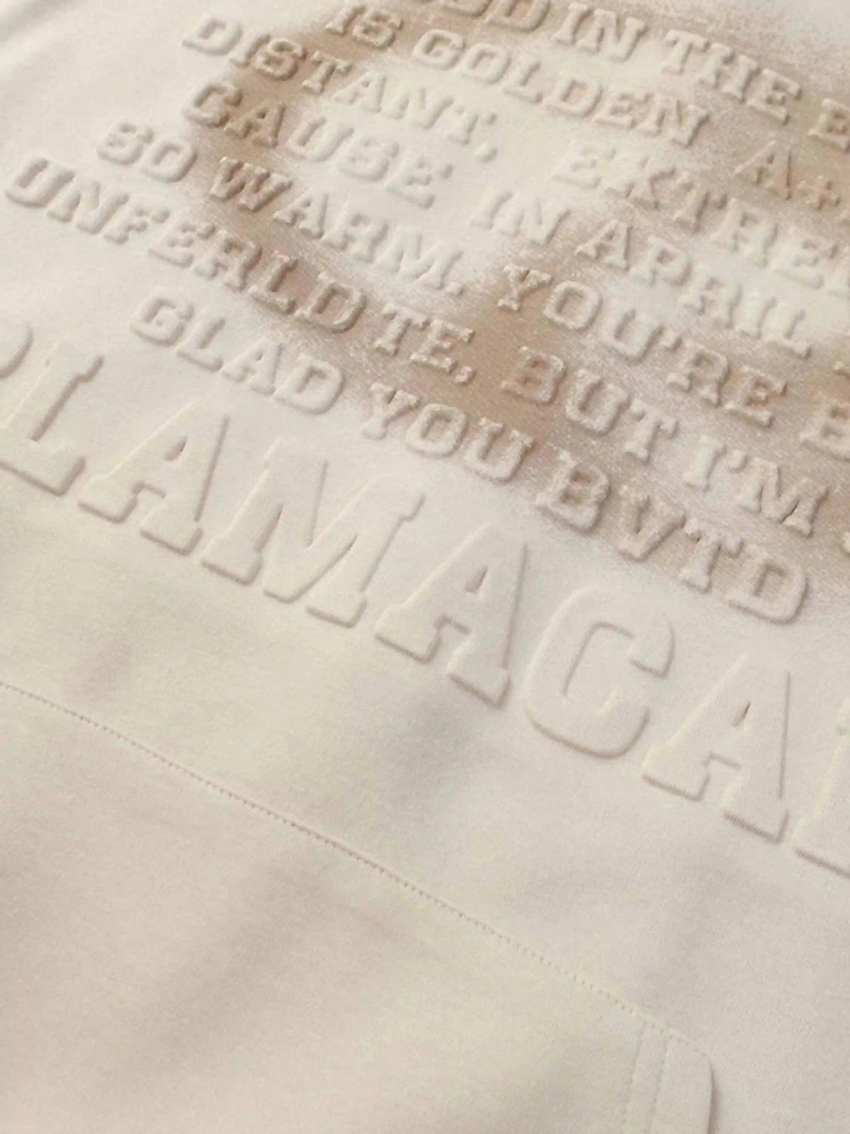 Distressed 3D Steel Print Hip-Hop Pullover Hoodie