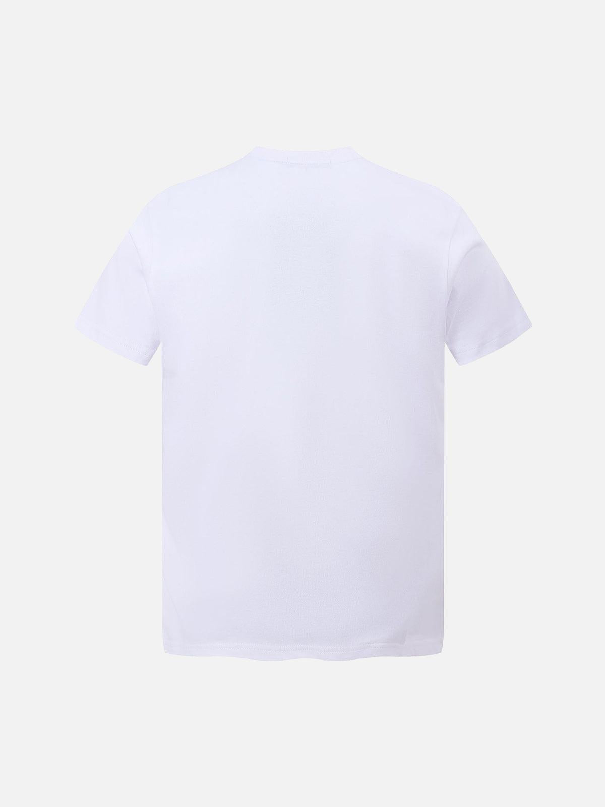 Graphic Scenic Print T-Shirt