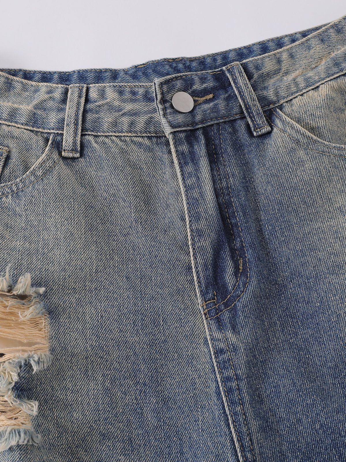 Multi Distressed Jorts