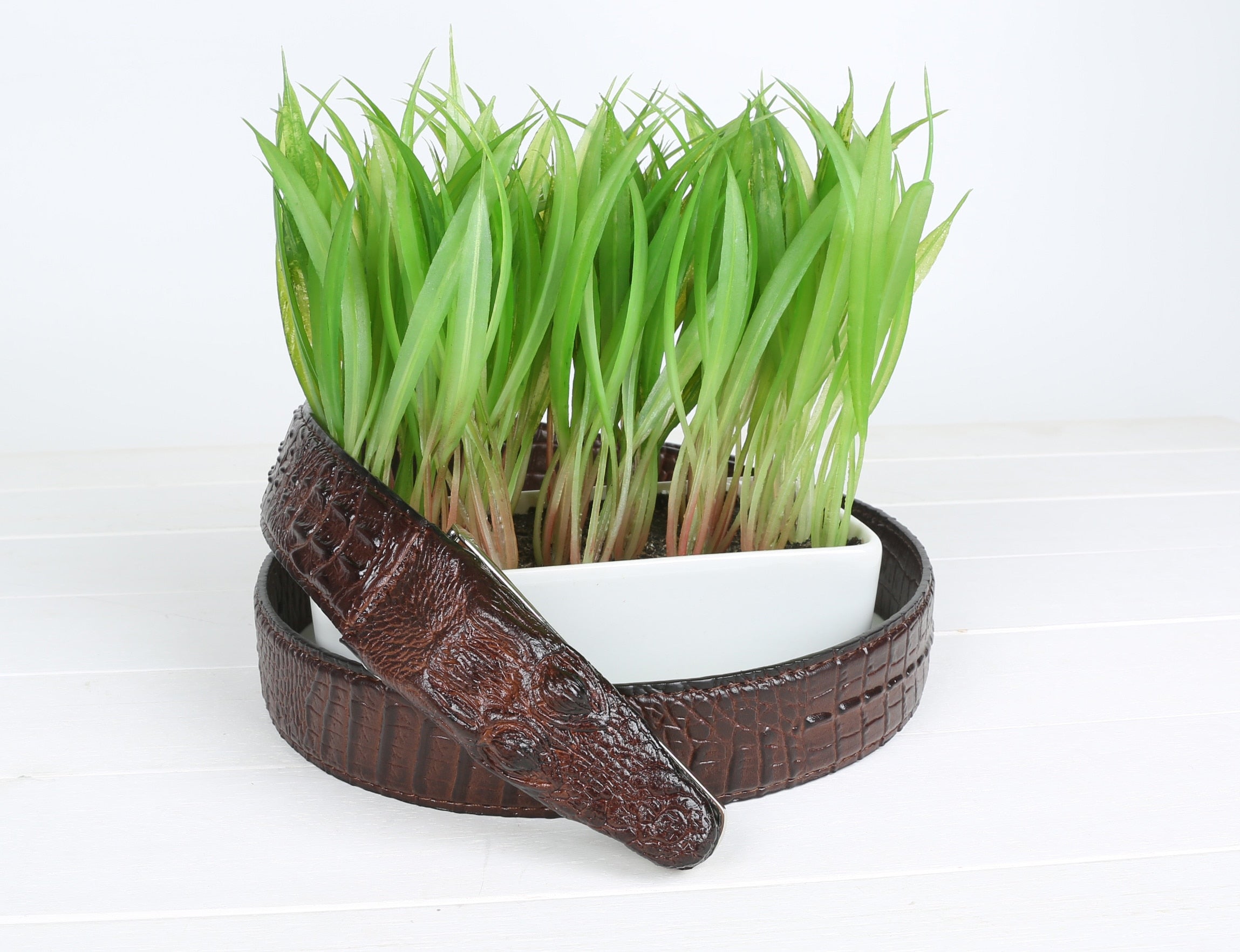 Luxury Buckle Leather Belt